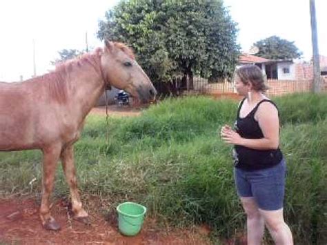 mulher pelada com animal|Mulheres brasileiras transando com animais